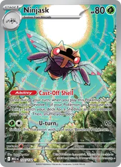 Ninjask