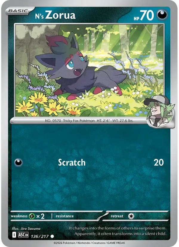 N's Zorua