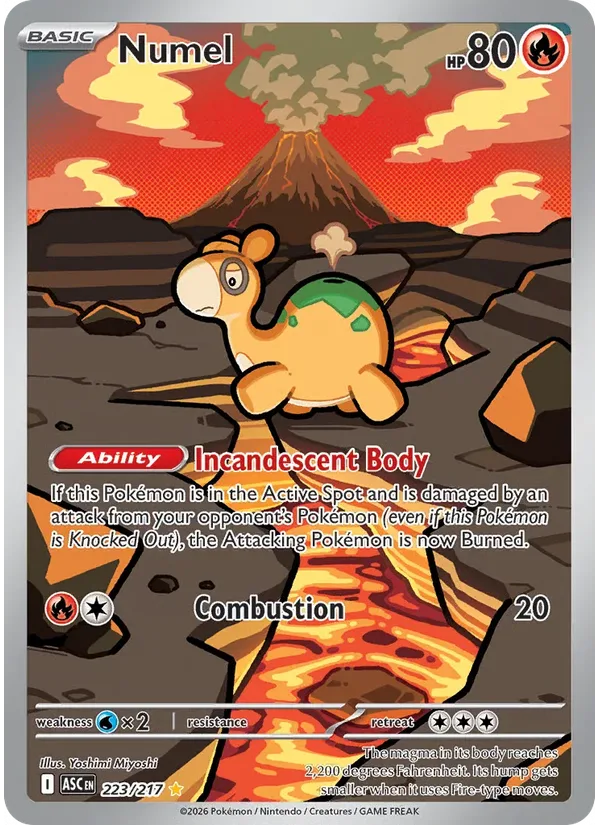 Numel