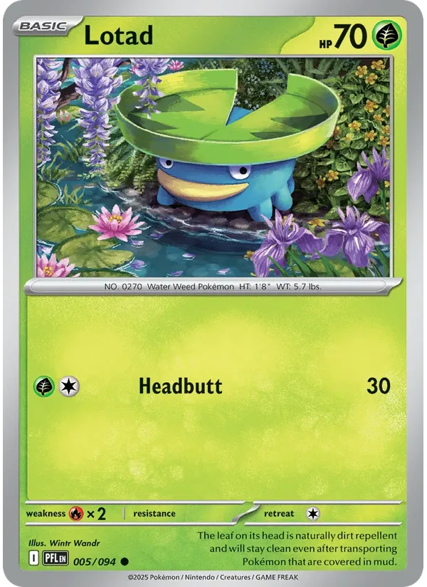 Lotad