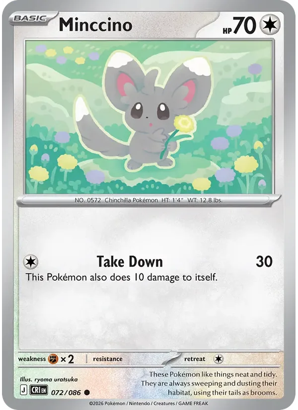 Minccino