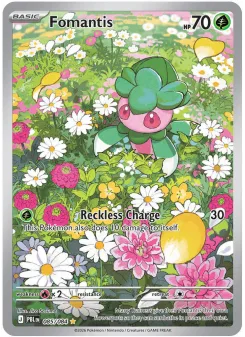 Fomantis