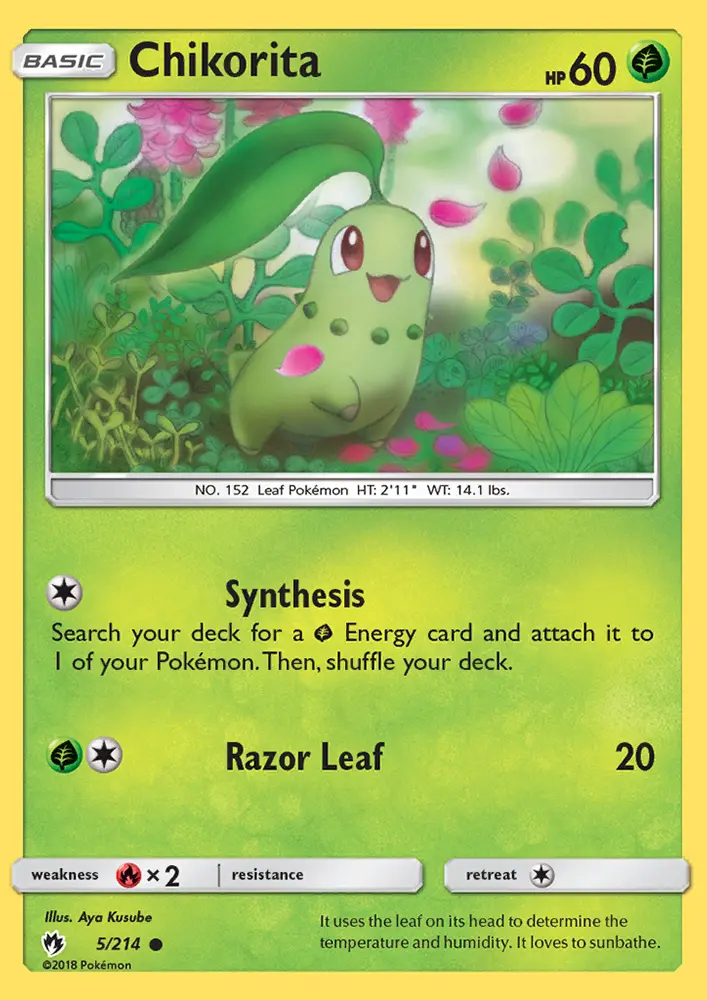 Chikorita
