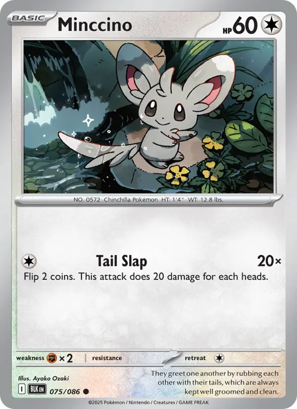Minccino